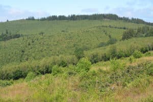 Kulturgut Hauberge - Oberrossbach