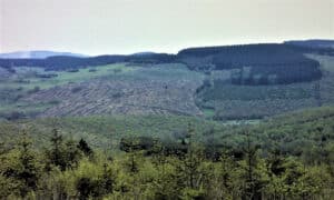 Kulturgut Hauberge - Weidelbach