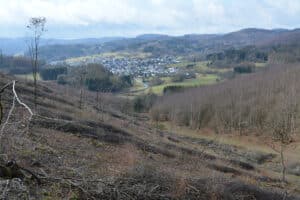 Kulturgut Hauberge - Mandeln
