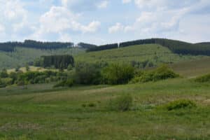 Kulturgut Hauberge - Rittershausen